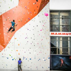 Partenaire mammut